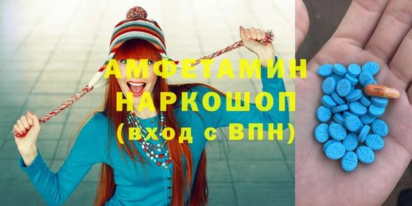 стаф Аркадак