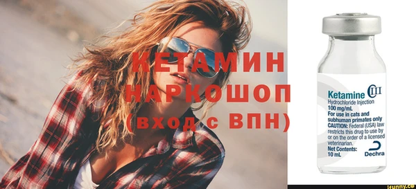 стаф Аркадак