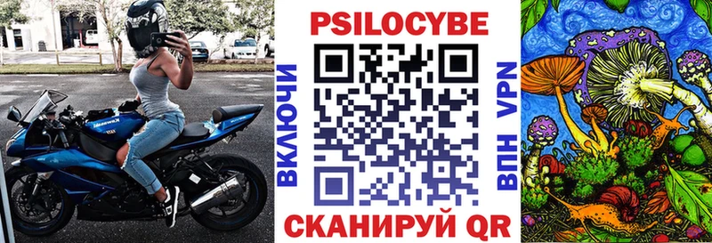 цены   Буй  Галлюциногенные грибы Cubensis 